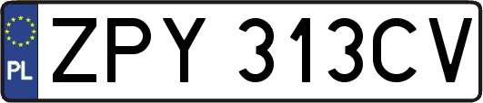 ZPY313CV