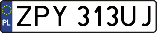 ZPY313UJ