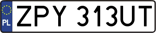 ZPY313UT
