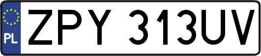 ZPY313UV