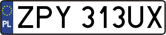 ZPY313UX