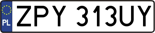 ZPY313UY