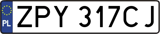 ZPY317CJ