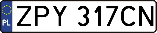 ZPY317CN