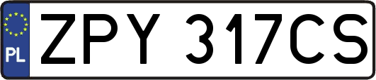 ZPY317CS