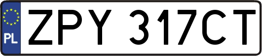ZPY317CT