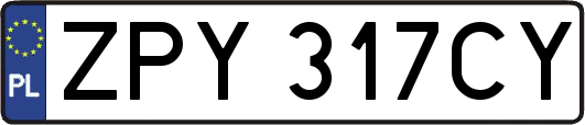 ZPY317CY