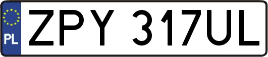 ZPY317UL