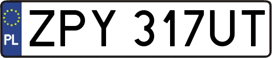 ZPY317UT