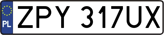 ZPY317UX