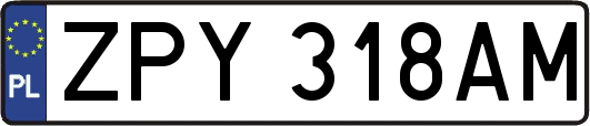 ZPY318AM