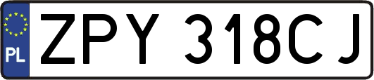 ZPY318CJ