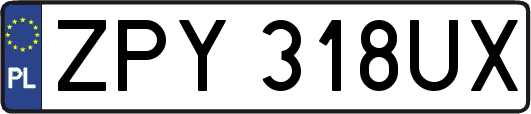 ZPY318UX