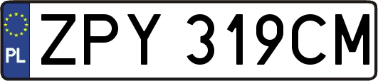 ZPY319CM