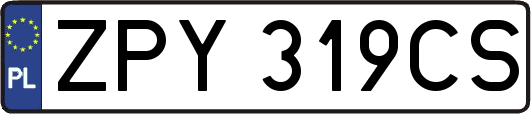 ZPY319CS