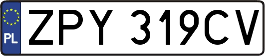 ZPY319CV
