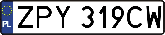 ZPY319CW