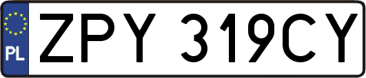 ZPY319CY