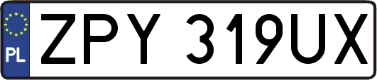 ZPY319UX