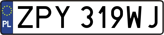 ZPY319WJ