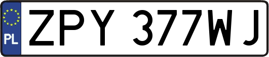 ZPY377WJ