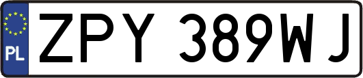 ZPY389WJ