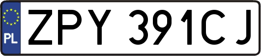 ZPY391CJ