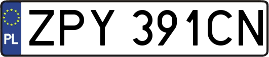 ZPY391CN
