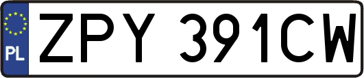 ZPY391CW