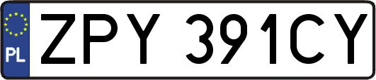 ZPY391CY