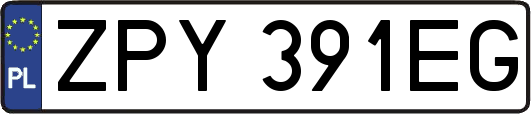 ZPY391EG