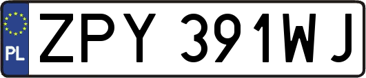 ZPY391WJ