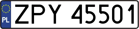 ZPY45501