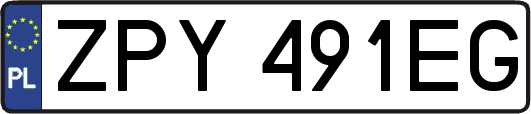 ZPY491EG