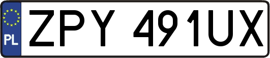 ZPY491UX