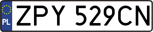 ZPY529CN