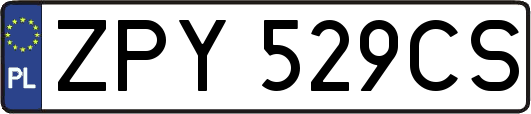 ZPY529CS