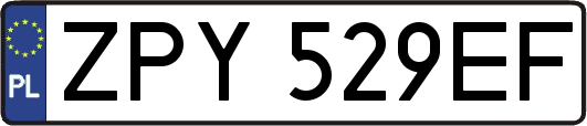 ZPY529EF