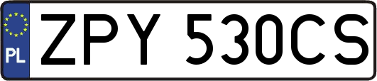 ZPY530CS