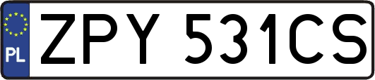 ZPY531CS