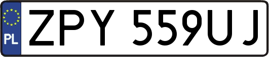ZPY559UJ