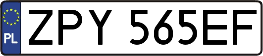 ZPY565EF
