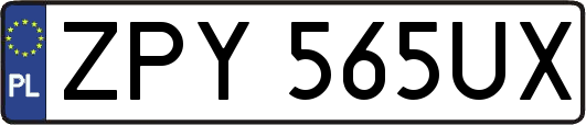 ZPY565UX