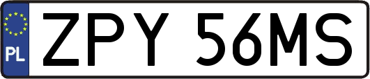 ZPY56MS