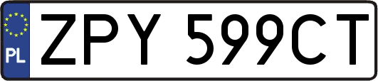 ZPY599CT