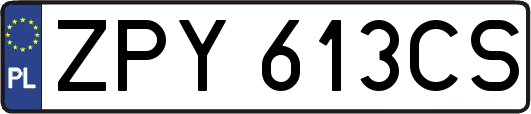 ZPY613CS