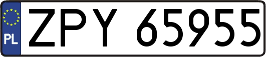 ZPY65955