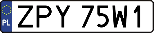 ZPY75W1