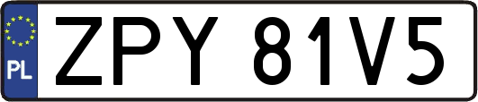 ZPY81V5