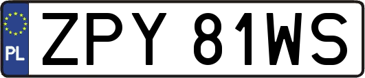 ZPY81WS